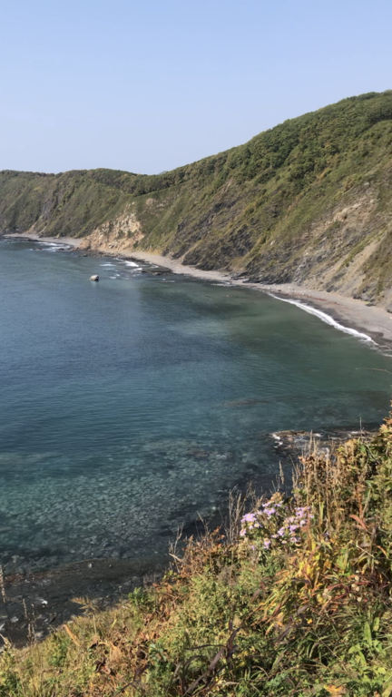 Фото из отзыва от 29.09.2022