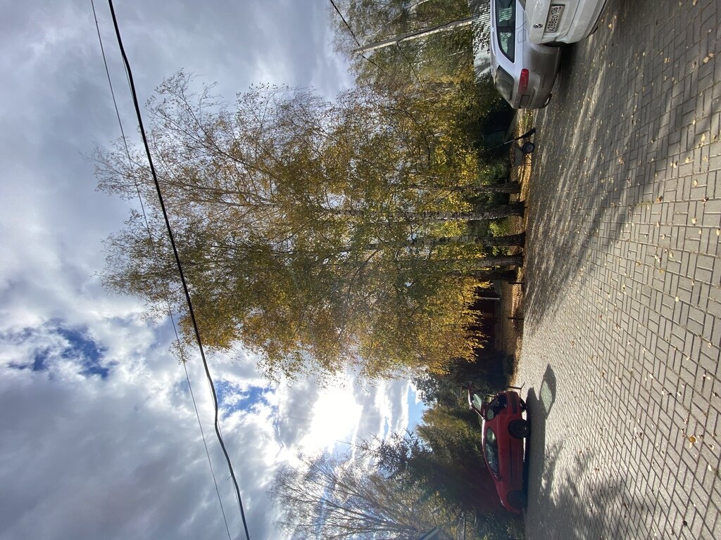 Фото из отзыва от 15.10.2022