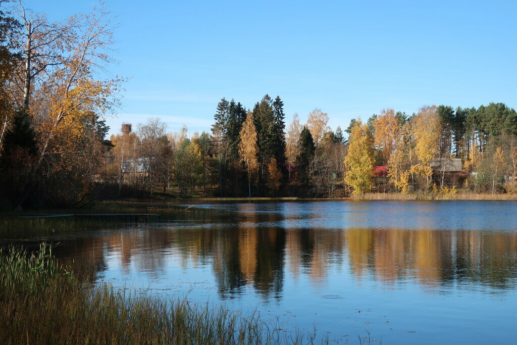 Фото из отзыва от 11.10.2022