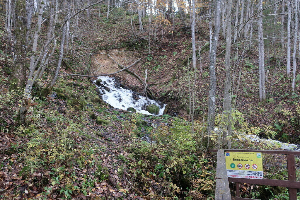 Фото из отзыва от 11.10.2022