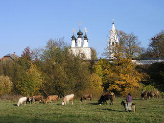 Вид на монастырь | Суриковых, Владимирская область
