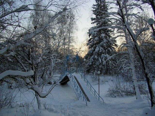 Голубые ели турбаза иркутск фото