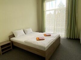 Стандарт двухместный с одной большой кроватью, Конно-туристическая база Новая Ельня, Нижнесергинский