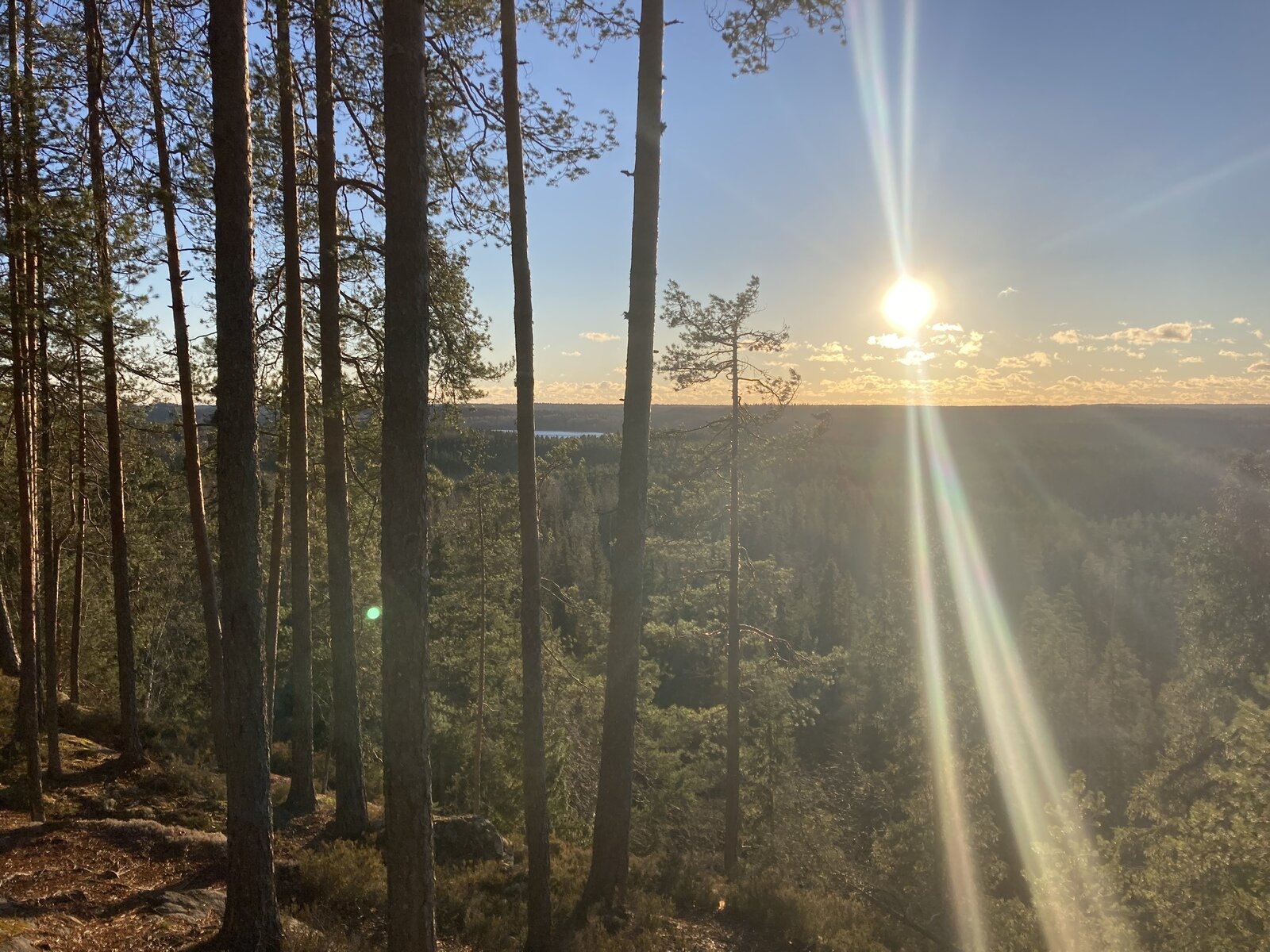 Фото 11 из отзыва о базе отдыха Арсенал