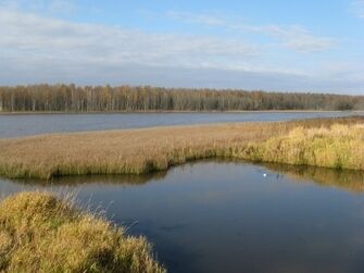 Раздобарино