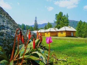 Территория | Кедровый, Республика Хакасия