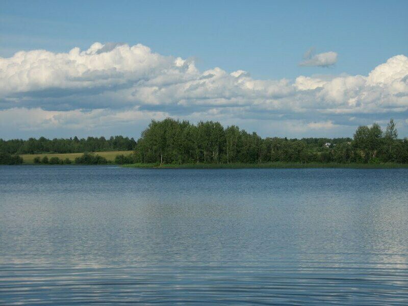 Озеро | В деревне Пехино, Вологодская область