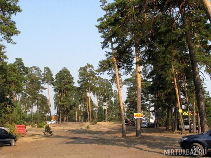 Буревестник верхняя волга ярославль