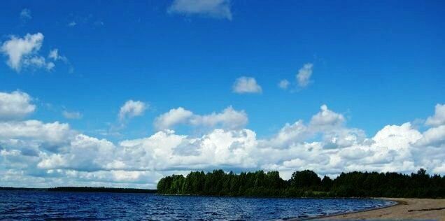 Сяргозеро , Республика Карелия: фото 2