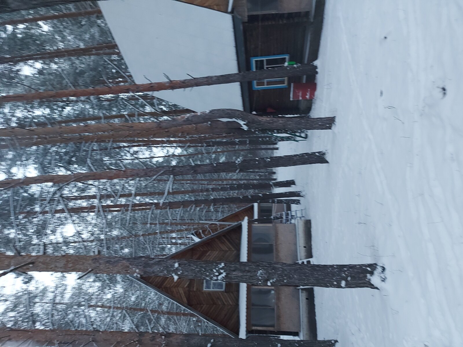 Фото 15 из отзыва о базе отдыха Хопёр