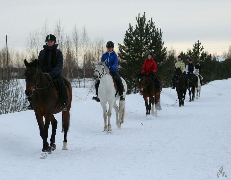 Малиновая слобода нижегородская область фото