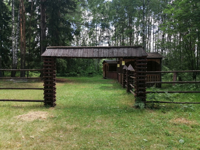 Золинское озеро нижегородская область. Золинское озеро база отдыха. Золинское озеро Дзержинск. Золинское озеро Нижегородская область фото.