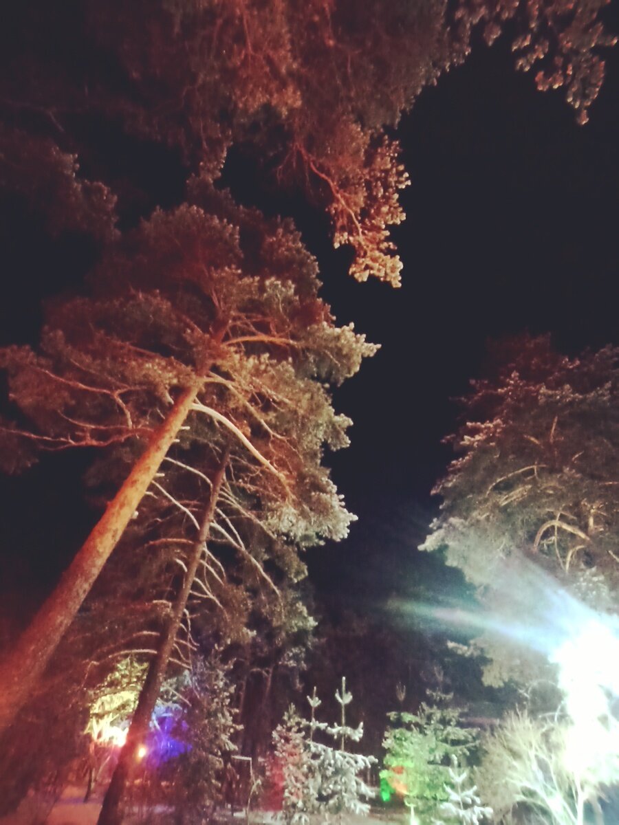 Фото 14 из отзыва о спа-отеле Алсма