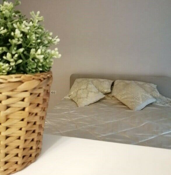 Стандарт 1-6