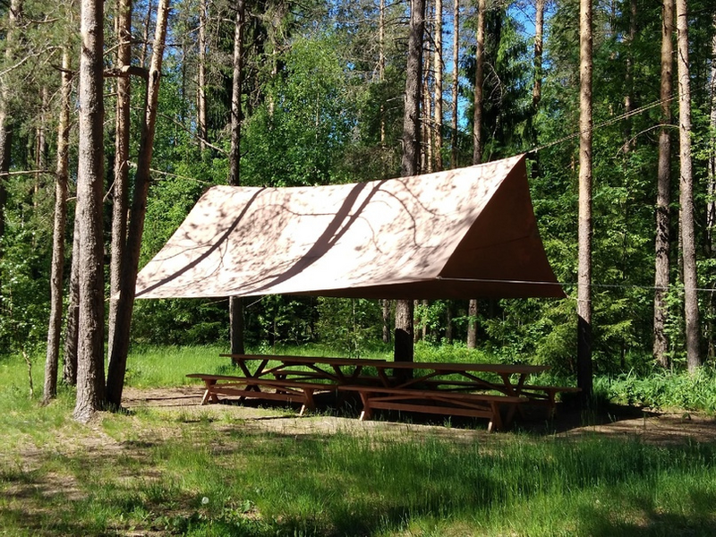 Тент в лесу