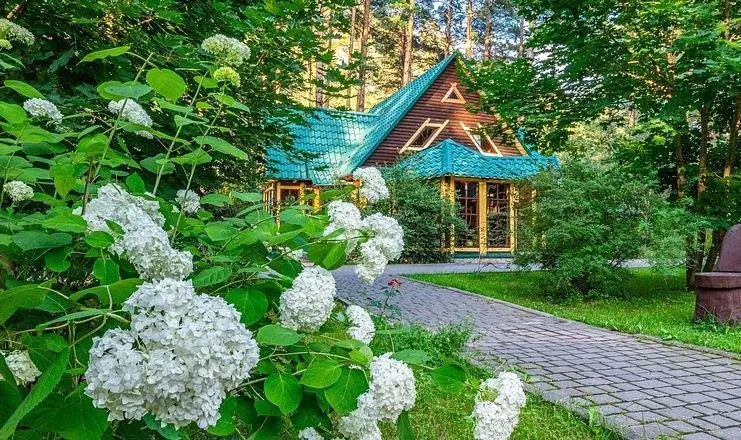 Турбаза Кедровый остров, Чемальский район, Горный Алтай (Республика Алтай)