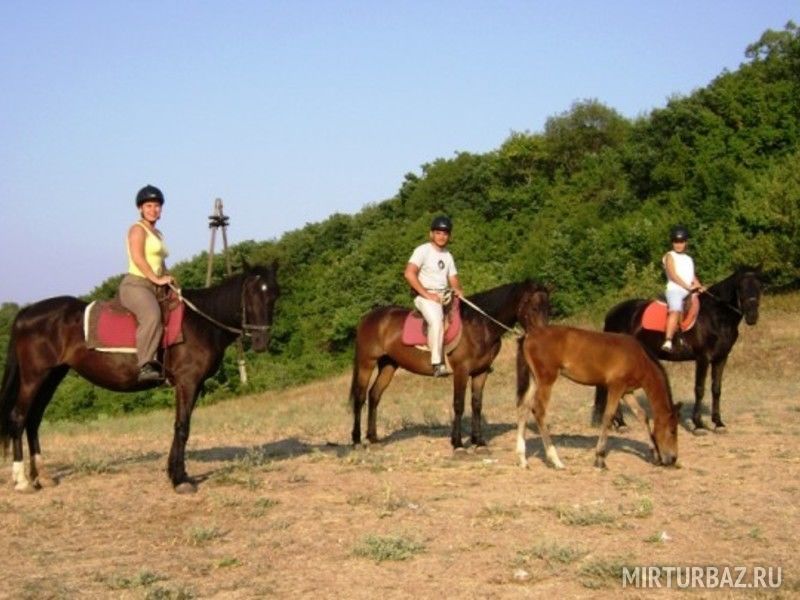 Конные прогулки