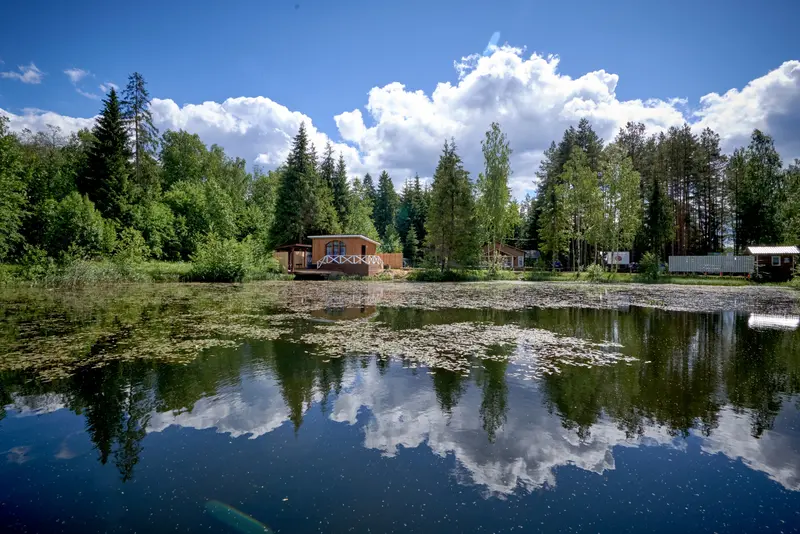 Пикник, Ленинградская область: фото 5