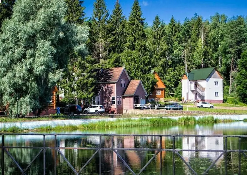 Лесная сказка, Ярославская область: фото 2