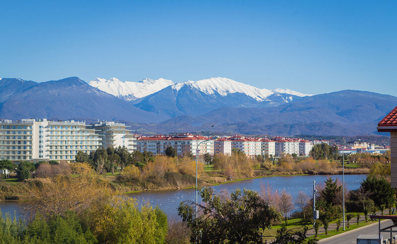 Стандартный 3-местный (№44)