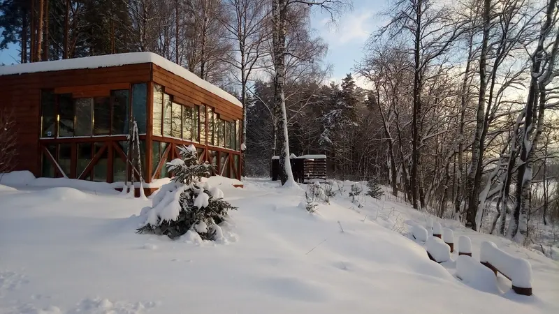Исток, Ленинградская область: фото 2