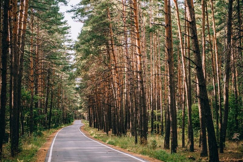 Горицы база отдыха липецкая область цены