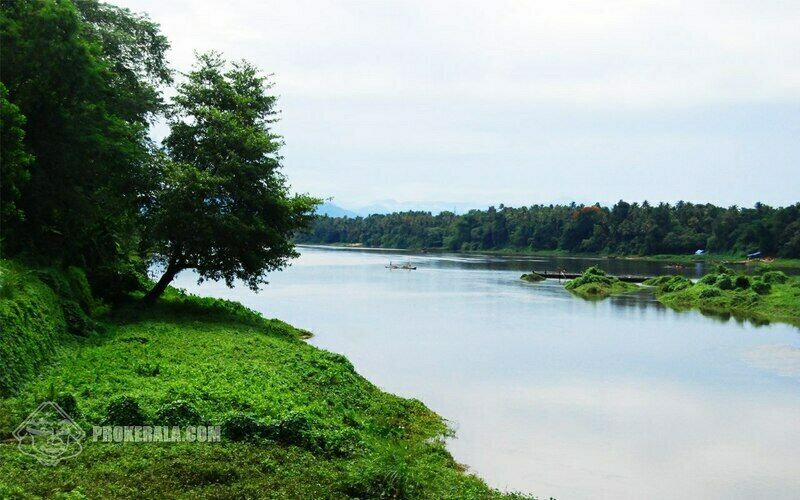 Море волги село чардым