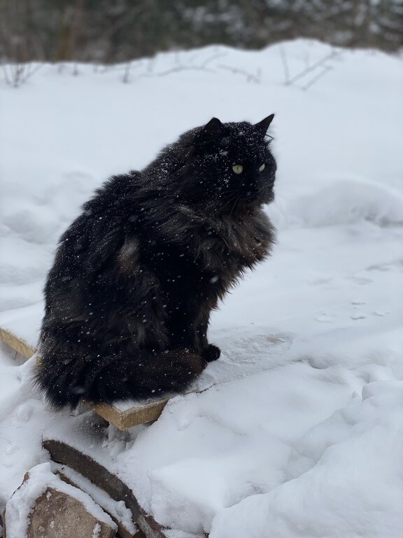 Фото из отзыва от 23.02.2023