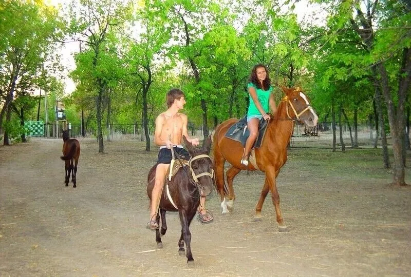 Конные прогулки | Радуга, Волгоградская область