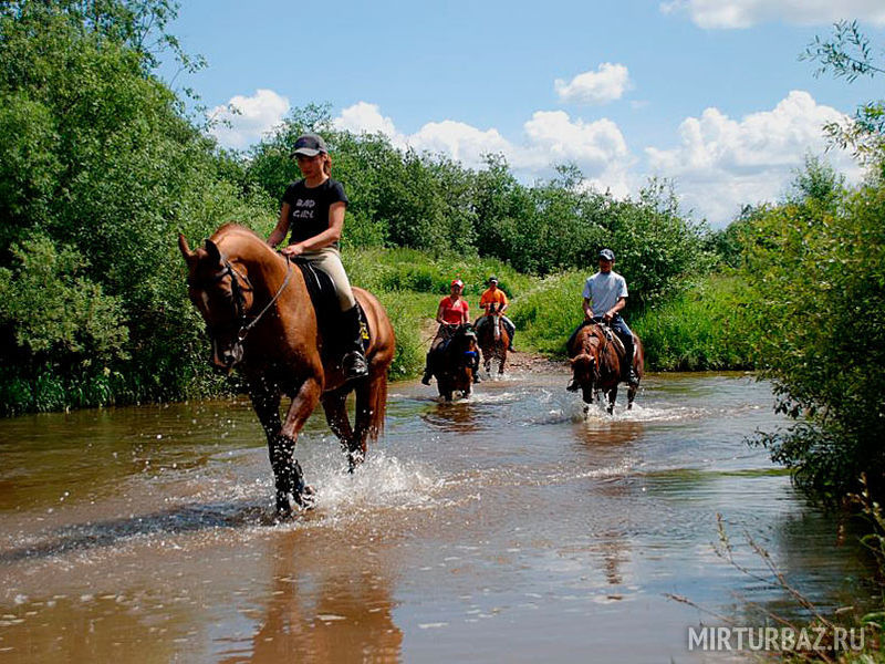 Конные прогулки