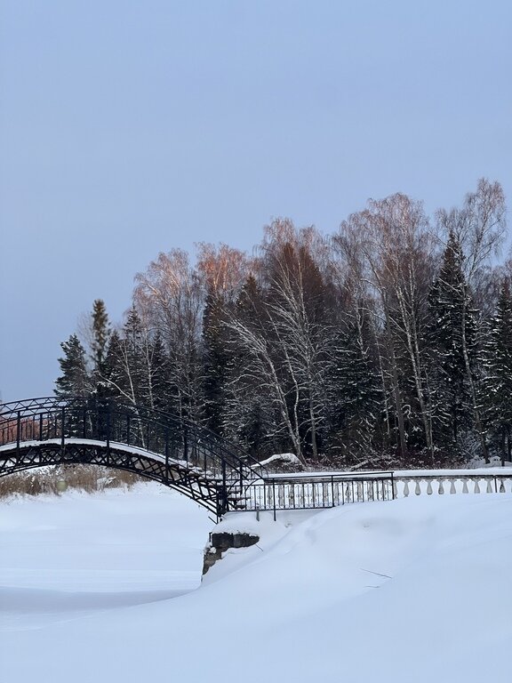 Фото из отзыва от 06.03.2023