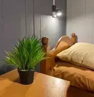 Номер 2-х местный без санузла (Плавучая гостиница), Рыболовно-охотничья база Грей Гусь, Астрахань