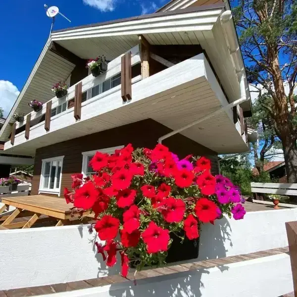 Моя дача, Ленинградская область: фото 3