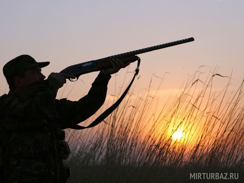 Осенняя охота на утку в Ростовской области