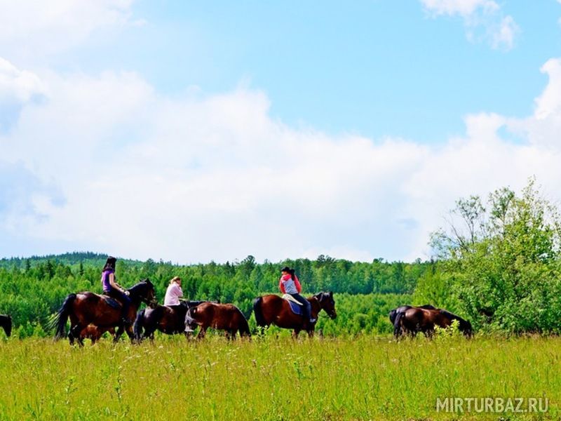 Активные выходные: конные прогулки в Ростове-на-Дону