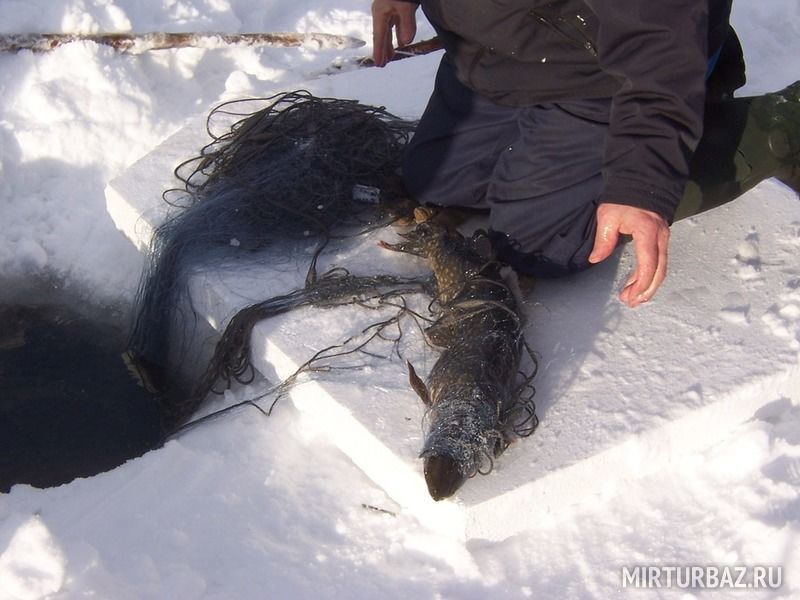 Озера для рыбалки в Ленинградской области